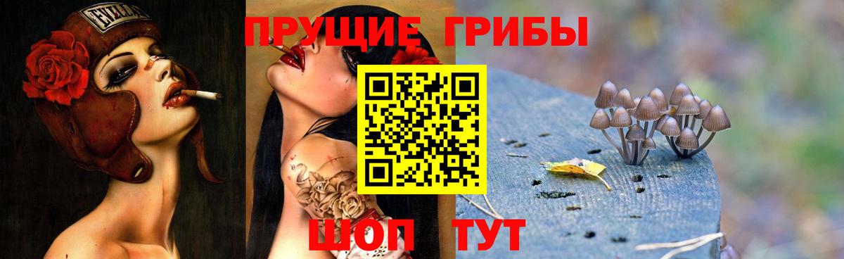 Галлюциногенные грибы мухоморы  Вход с VPN  Гурьевск  Галлюциногенные грибы Psilocybe 