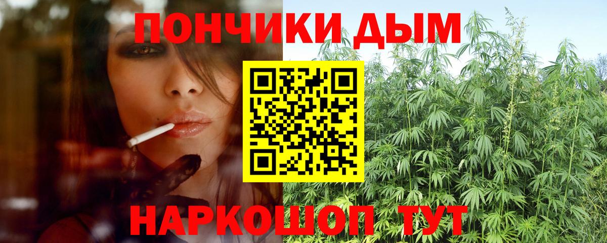 Каннабис индика  Вход с VPN  Гурьевск  Марихуана White Widow  Бошки Шишки ГИДРОПОН  Бошки Шишки планчик 